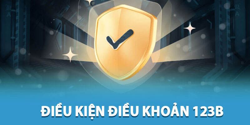 Sơ lược thông tin về điều khoản điều kiện 123B