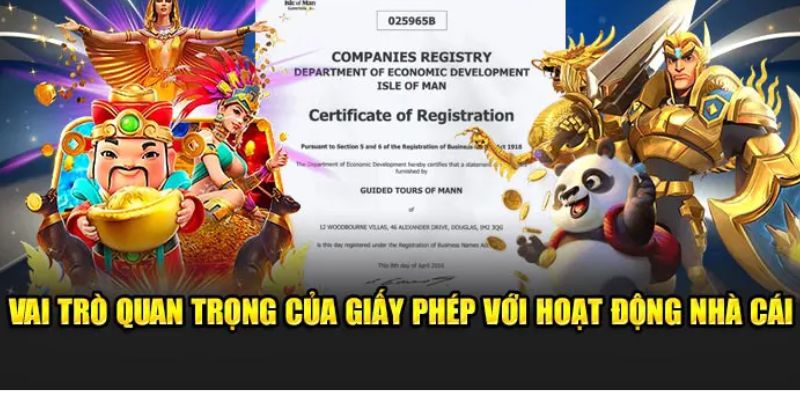 Giấy phép 123B giúp tăng doanh thu đáng kể
